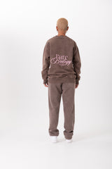 BIOLOGY PULLOVER BROWN